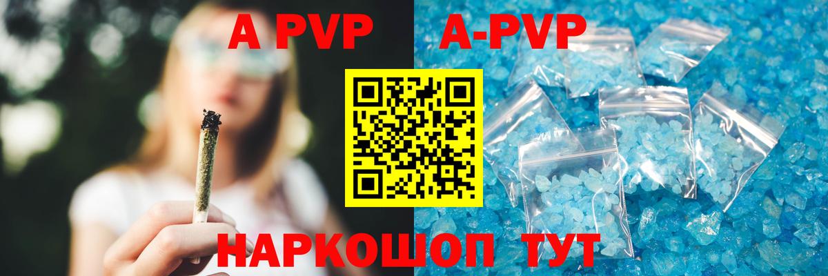 APVP СК Кузнецк