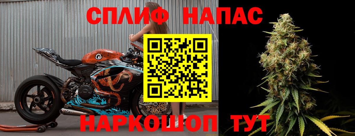 Конопля марихуана Кузнецк